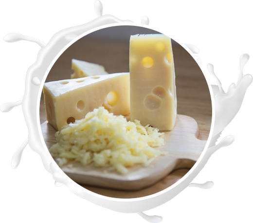 پنیر پارمسان